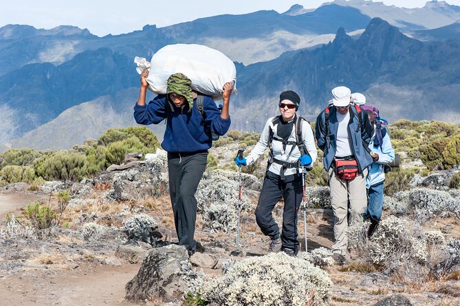 7 Days Kilimanjaro Trek via Machame Route - Reviews and Pricing