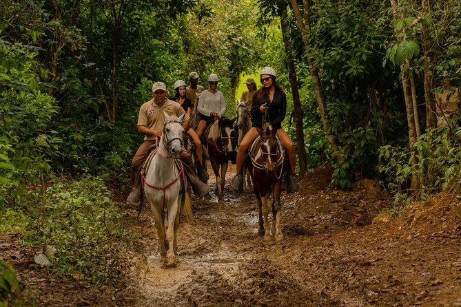 7 Tours Zipline, Chairlift, Buggy, Horseback Ride Punta Cana - Serene Horseback Riding