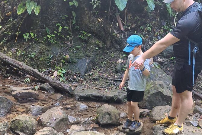 A Day of Relaxation in the Jungle and Waterfalls of Dominica - Wellness Guidance