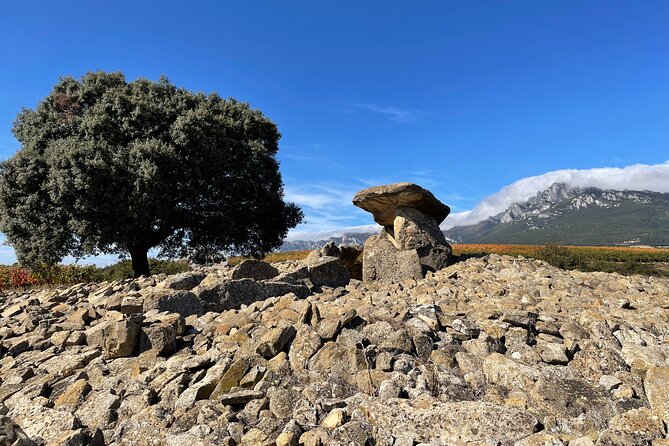 A Sip-By-Sip Tour of 3 Boutique Rioja Family Wineries (Private Tour With Lunch) - Private Tour Details