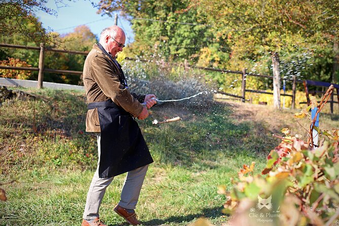 A Unique Sensory Experience in the Vineyards - Reviews and Recommendations