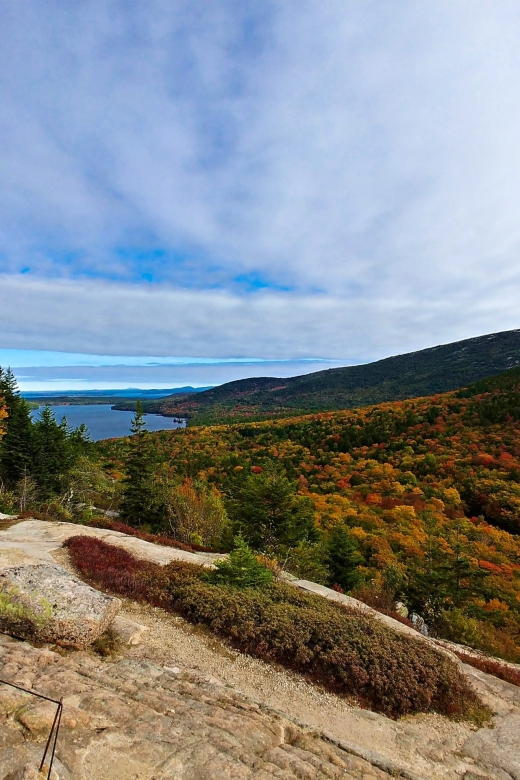 Acadia Half Day Private Bike Tour - Light Snacks Provided