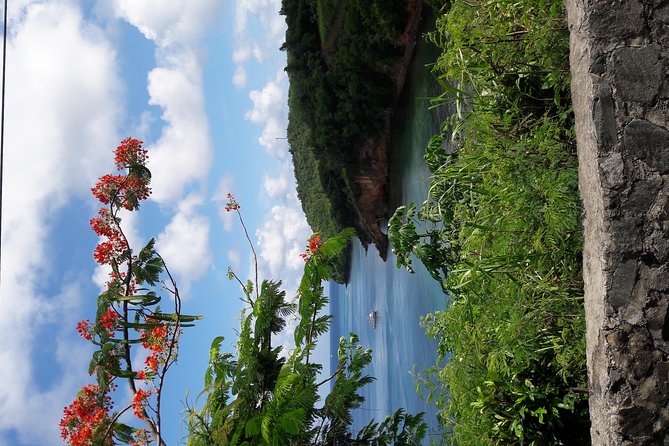 Adventure and Beach Tour - Castries Market Experience