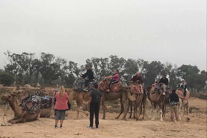 Agadir Camel Riding - Wildlife Spotting