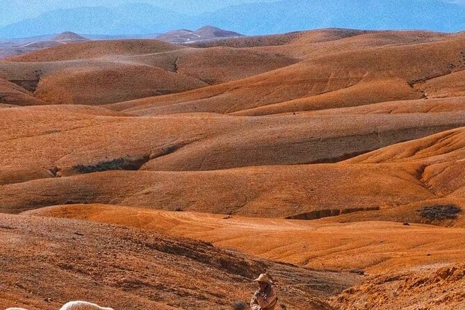 Agafay Desert: Dinner + Show With Quad Bike & Sunset Camel Ride - Entertainment Show