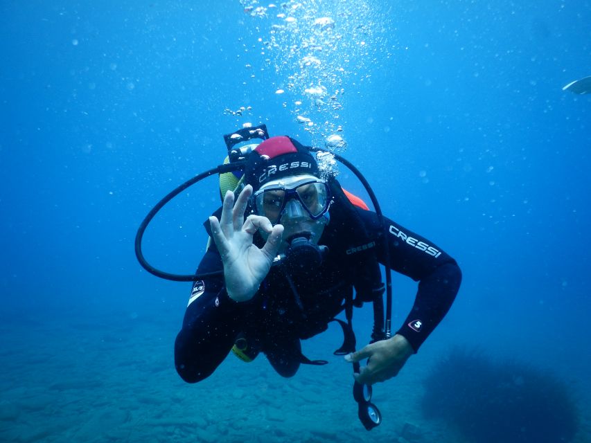 Agia Pelagia: Introduction to Scuba Diving Experience - Participant Suitability