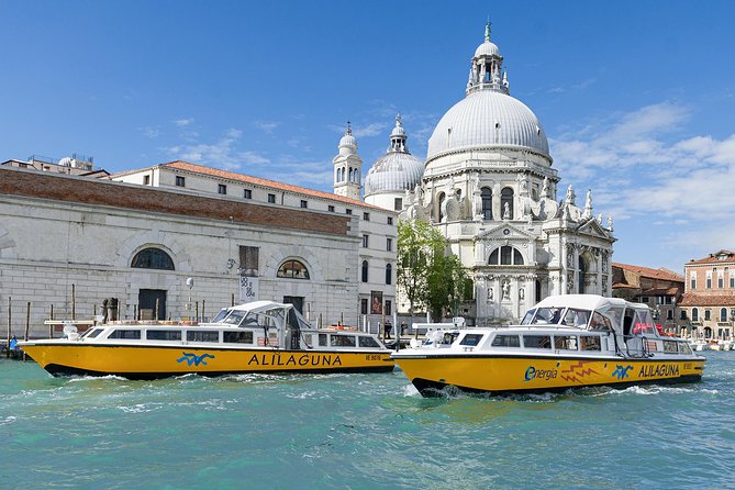 Airport - Venice Waterbus Ticket - Transportation Experience