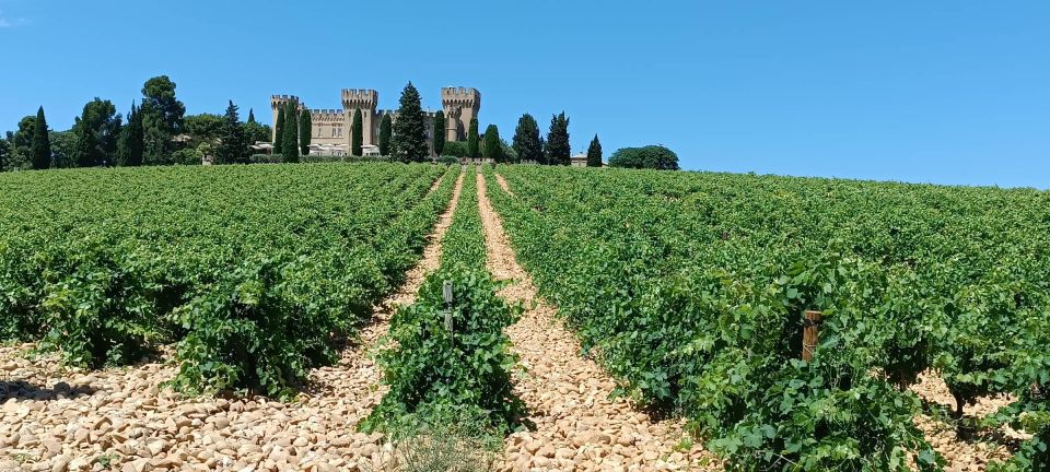 Aix-en-Provence: Avignon Tour & Chateauneuf-du-Pape Tasting - Customer Feedback