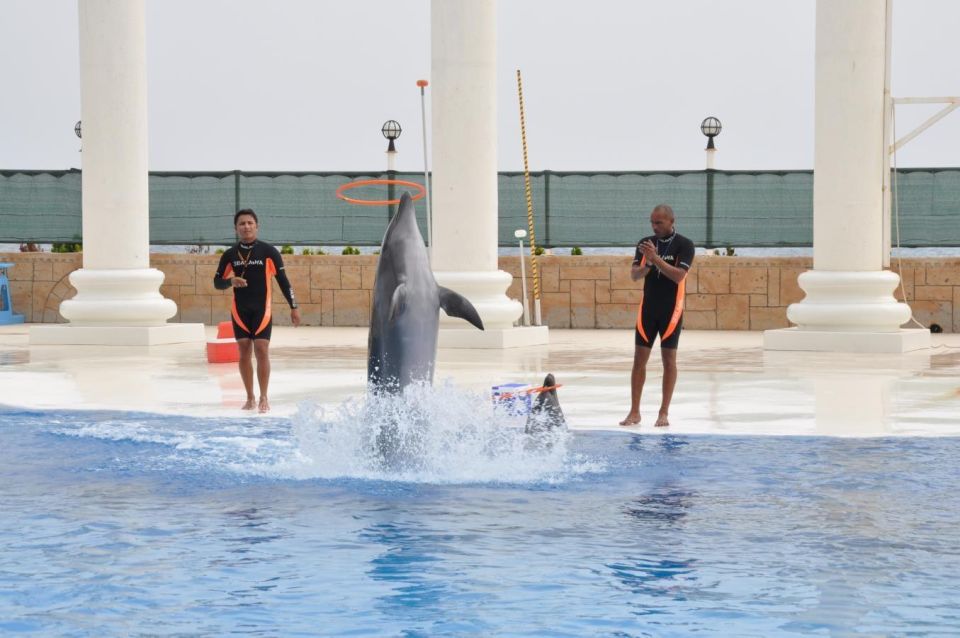 Alanya: Dolphin and Seal Show Ticket With Hotel Transfers - Booking and Cancellation Policy