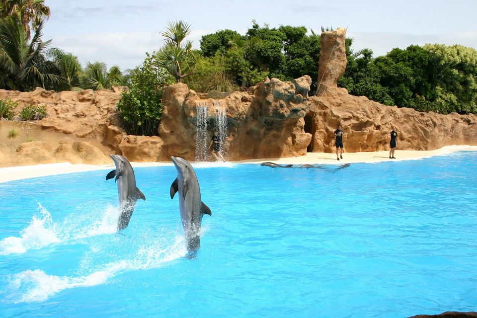 Alanya: Sealanya Dolphin Park Dolphin Show Tour - Photo Opportunities With Dolphins