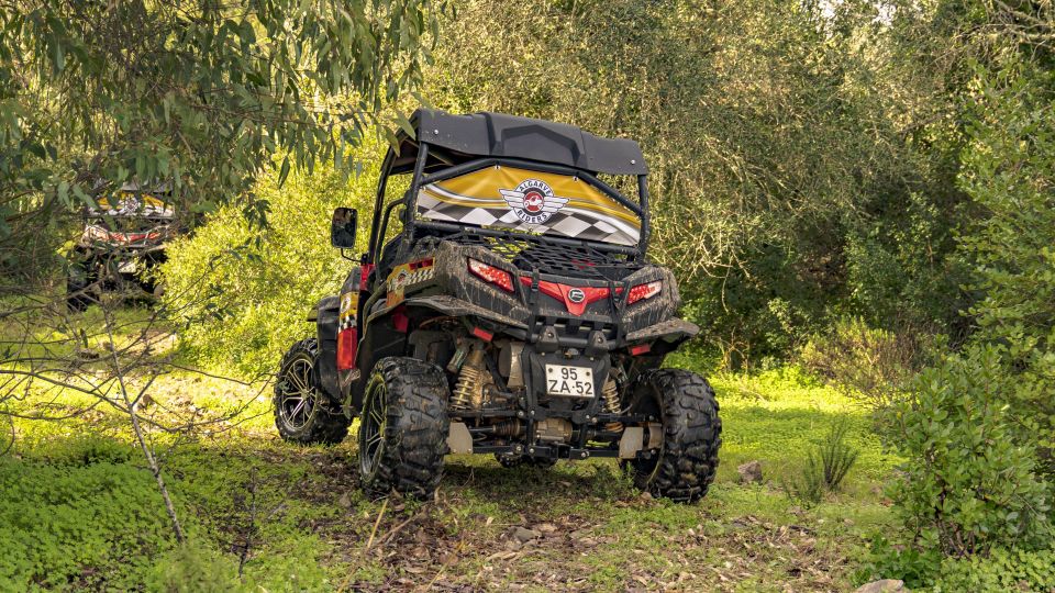 Albufeira: Off-Road Buggy Adventure - Accessibility and Requirements