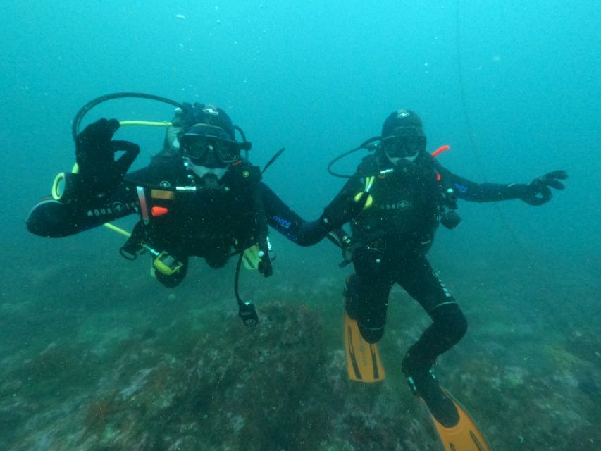 Albufeira: Scuba Diving Experience for Beginners - Booking and Pricing Details