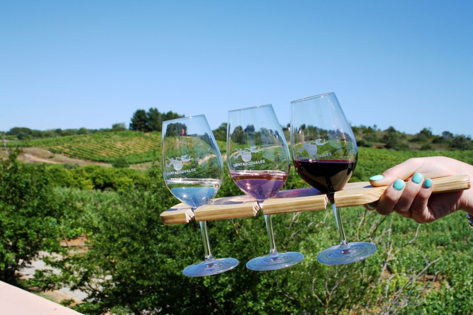 Algarve: 3 Types of Wine Tastings With Vineyard Views - Reservation and Availability