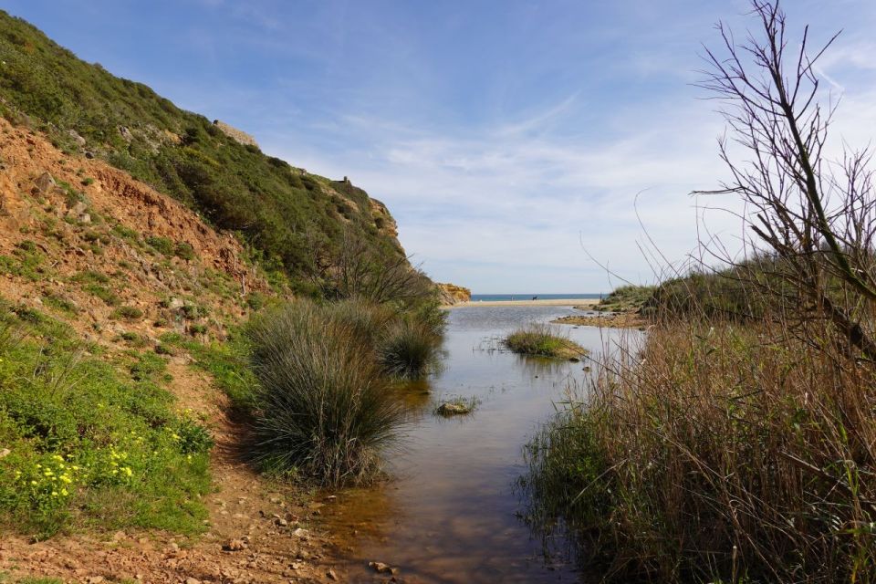 Algarve: Guided WALK in the Natural Park | South Coast - Stops and Breaks