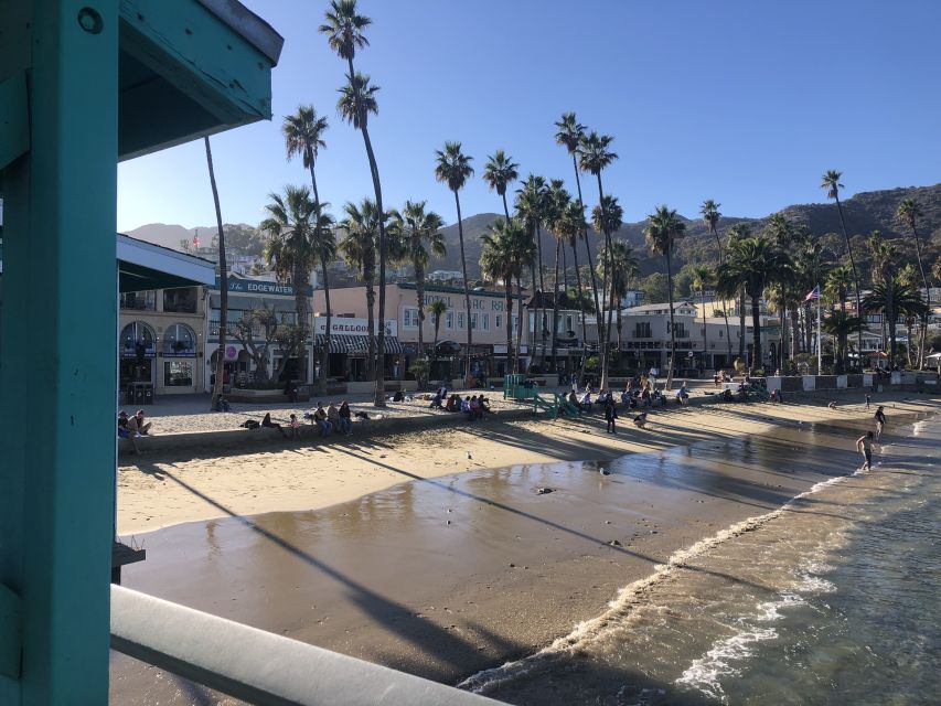 All-Inclusive Guided Tour of Catalina Island From Orange Co - Exploring Pebble Beach