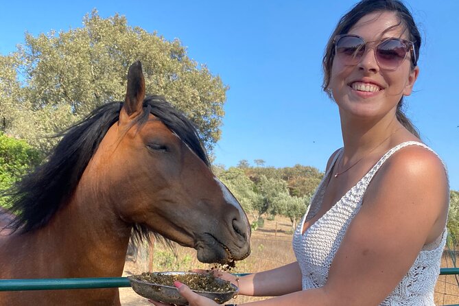 Alpaca Meet and Feed in Grândola - Learning From the Farm Host