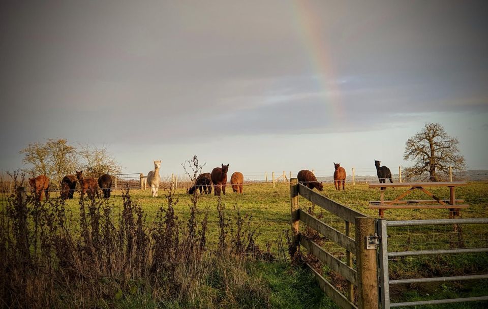 Alpaca Meet & Greet - Inclusions in the Package