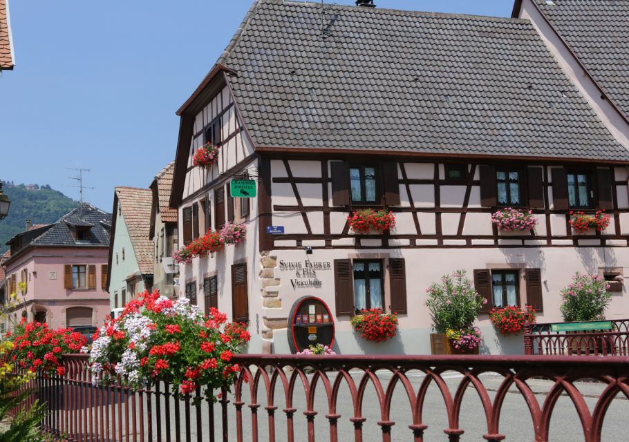 Alsace: Winery Tour - Wine Tasting and Food Pairings - Recap