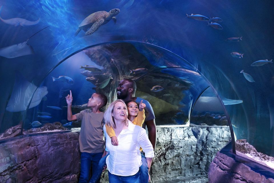 American Dream: SEA LIFE® Aquarium Entry Ticket - Up-close Encounters