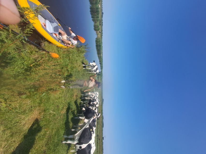 Amsterdam: Countryside Bike and Kayak Guided Tour - Inclusions