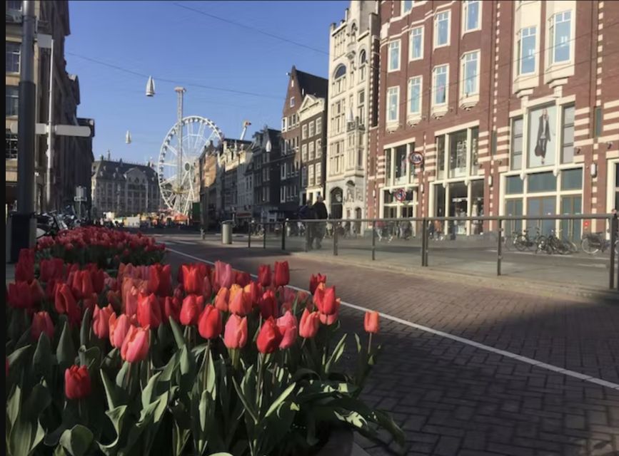 Amsterdam: The Story of History & Culture Walking Tour - Tour Features