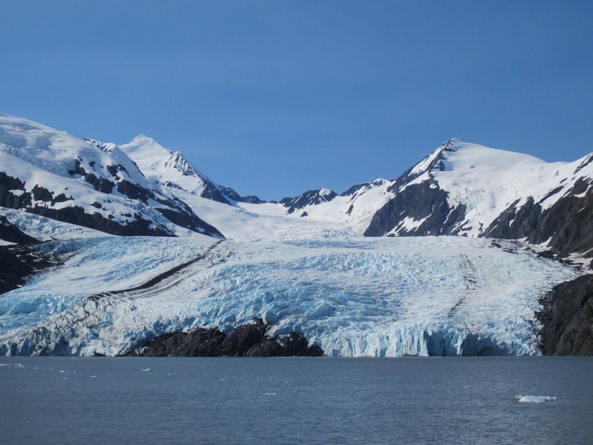 Anchorage: Glacier and Wildlife Explorer Cruise - Inclusions and Exclusions