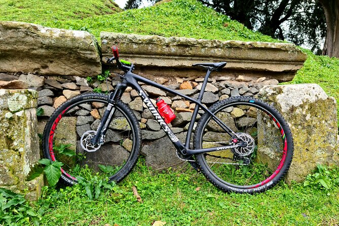 Ancient Appian Way and Roman Countryside E-Bike Tour - Booking Information