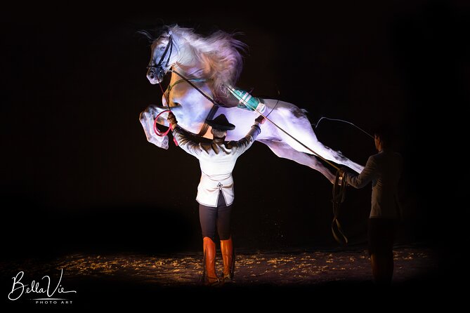 Andalusian Horses and Flamenco Show With Transportation - Additional Information