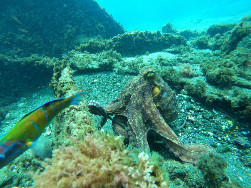 Angra Do Heroismo: SSI Try Scuba Program in a Shipwreck - Safety Considerations