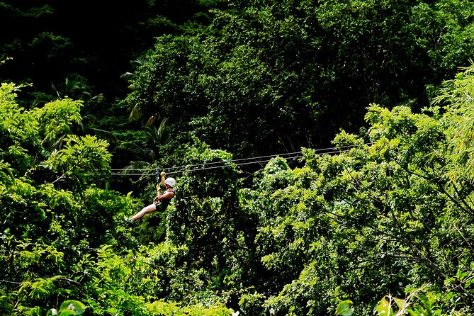 Antigua Zipline Canopy Adventure From St John'S - Guest Reviews and Ratings