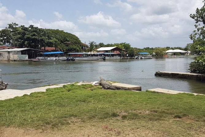 Appleton Estate Rum, YS Falls, Black River Safari / Floyds Pelican Bar Tour - Appleton Estate Experience