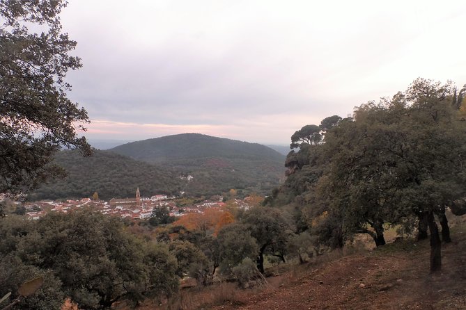 Aracena and Riotinto Mines Small Group Tour From Seville - Meeting and Pickup