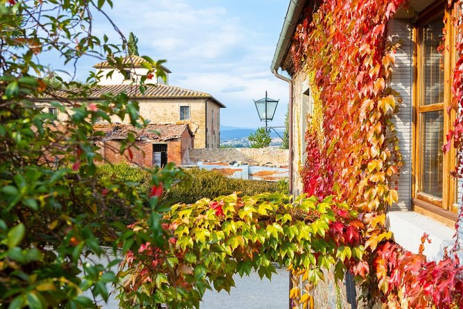 Arezzo: Wine Tasting Experience in Valdichiana Area - Accessibility Considerations