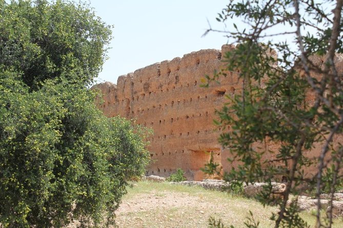 Argan Forest, Tea Time at a Berbers Family & Visit of an Argan Cooperative. - Pickup and Meeting Point