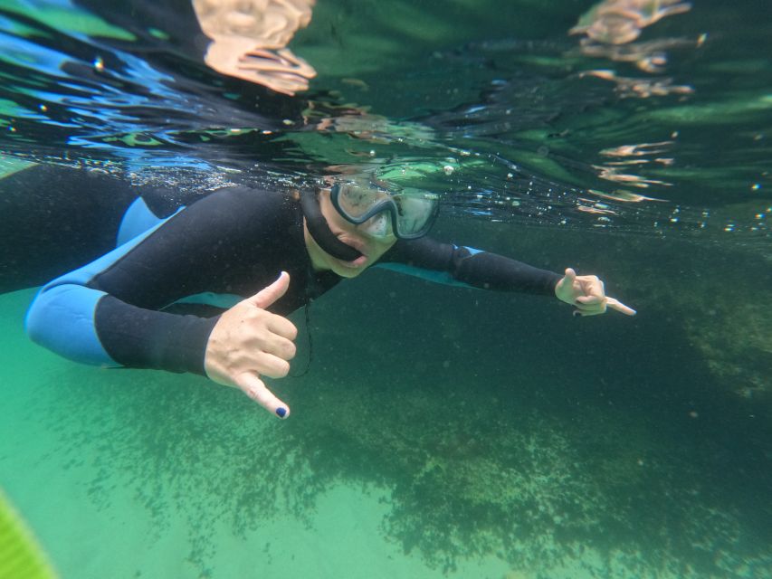 Arrábida: Snorkeling Experience in Arrábida Marine Reserve - Safety and Accessibility