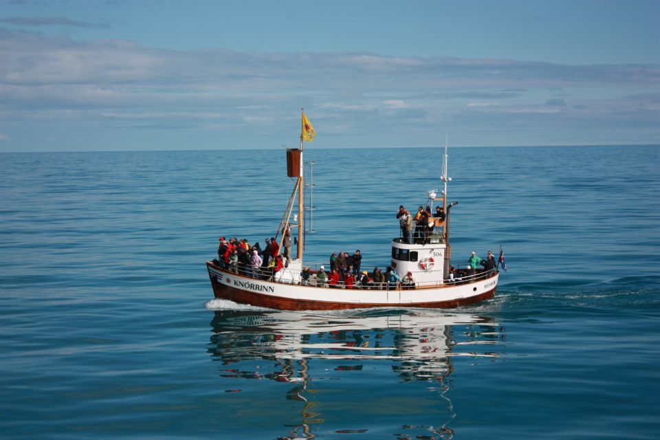 Árskógssandur: Whale-Watching Boat Trip - Departure Location and Meeting Point