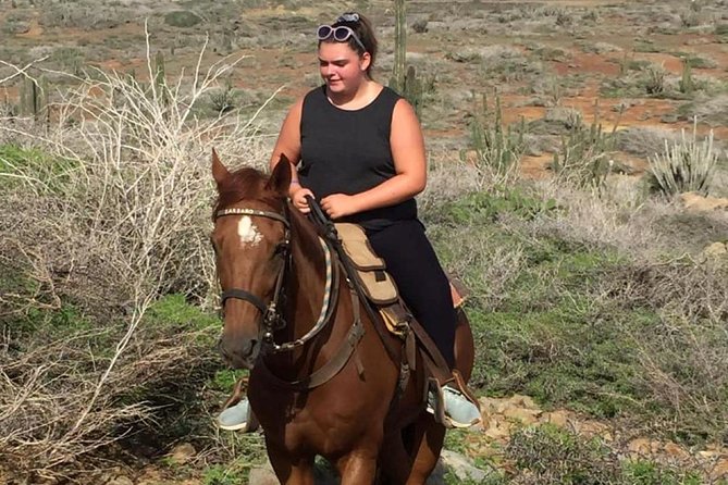 Aruba Horseback Riding Tour to Hidden Lagoon - Important Information