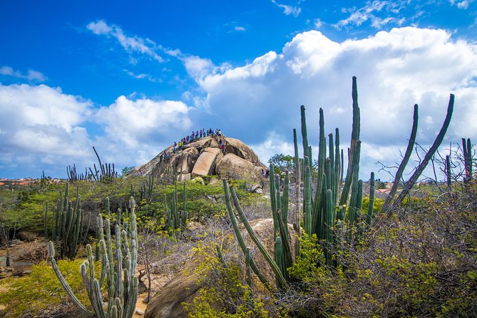 Aruba Island Sightseeing Tour Plus Arashi Beach Visit - Alto Vista Chapel