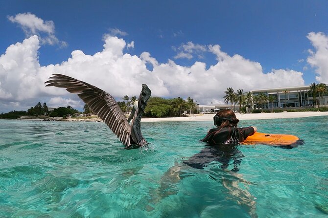 Aruba Seabob Scooter Reef Tour  - Participant Requirements