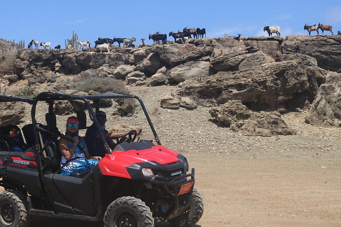 Aruba UTV, ATV Adventure to Secret Beach and Cave Pool - Volcanic Landscapes and Cave Pool