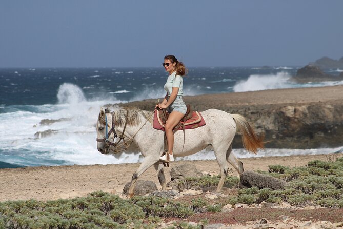 Arubas Northern Coast Horseback Adventure - Weight Limit and Restrictions