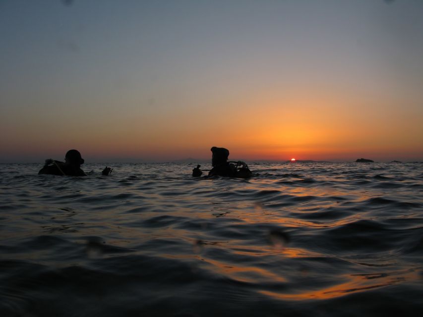 Athens: Adventure Dives in Nea Makri for Certified Divers - Health and Safety Requirements