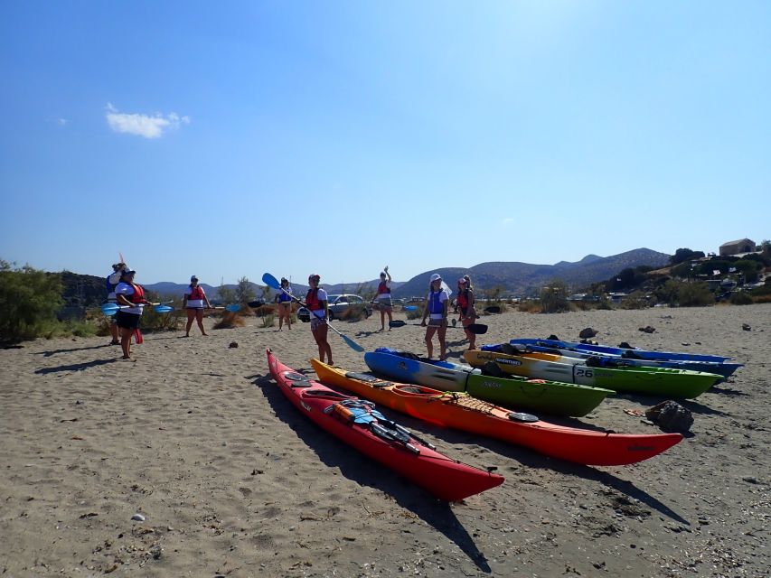 Athens: Sea Kayaking Adventure on the South/East Coast - Customer Feedback