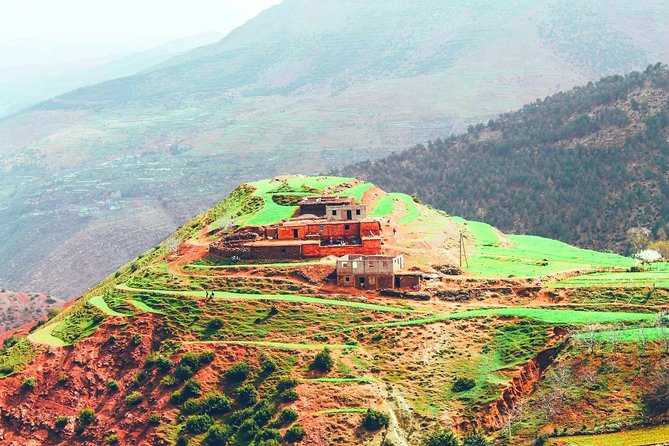 Atlas Mountains and 3 Valleys From Marrakech Including Camel Ride - Traditional Berber Lunch