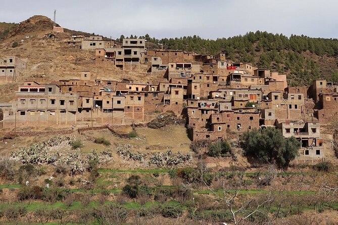 Atlas Mountains and Camel Ride Day Trip, From Marrakech - Visiting the Argan Cooperative