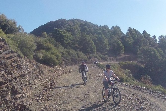 Atlas Mountains Beginners Mountain Biking Tour From Marrakech - Customer Feedback