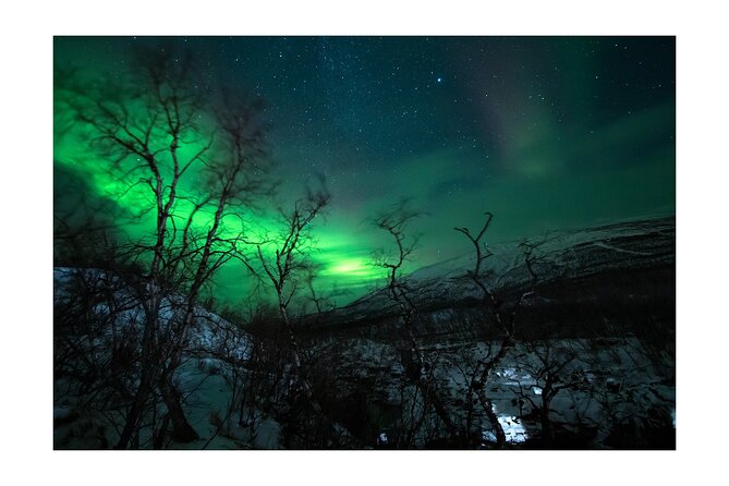 Aurora Borealis Tour Kiruna - Abisko With Local Street Food - Cancellation Policy