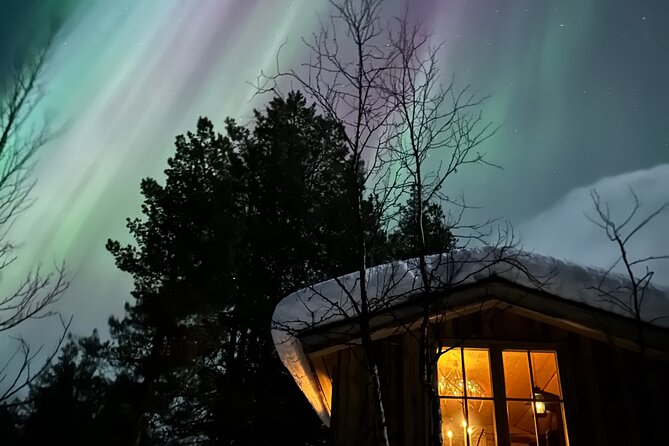 Aurora Hunting With Reindeer Caravan - Reindeer Caravan Experience