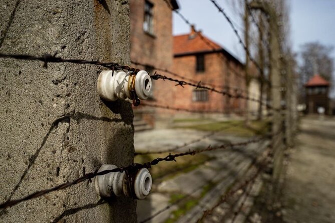 Auschwitz and Birkenau Tour - Meeting Points and Logistics