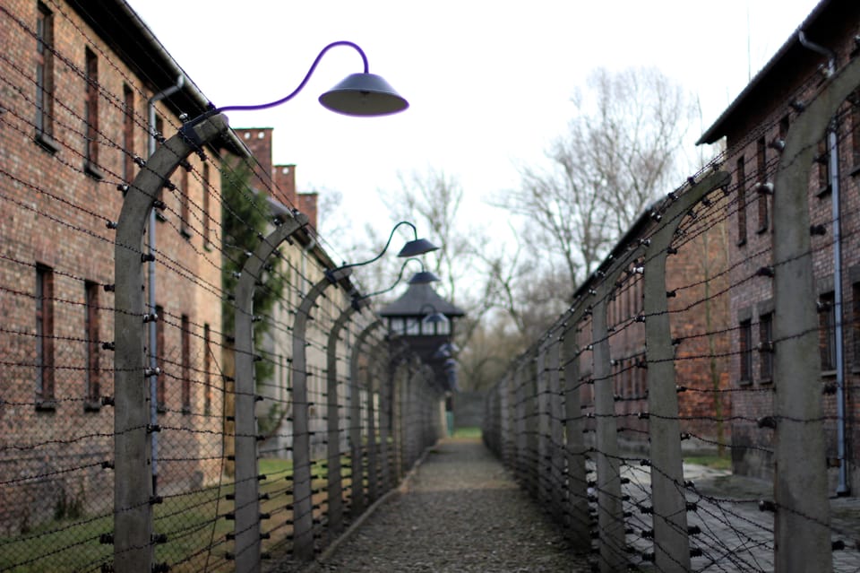 Auschwitz-Birkenau Full-Day Tour From Lodz by Private Car - Important Information